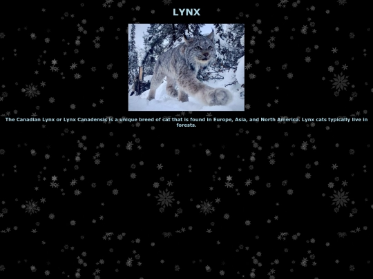 lynx screenshot