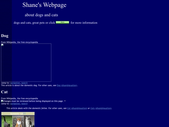 oldstuff/summer2010/Shane screenshot