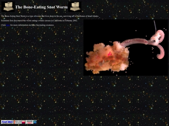 worm screenshot