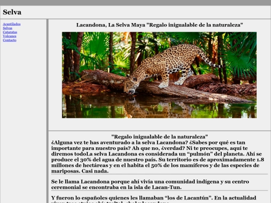 final/selva2 screenshot