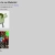 The web site of blargo avatar