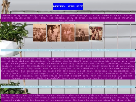 Bercero screenshot