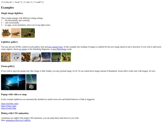vendor/Magnific-Popup/examples screenshot