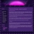 pinkwitch empty site avatar