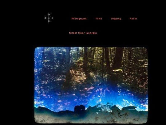 forest_floor_lysergia screenshot