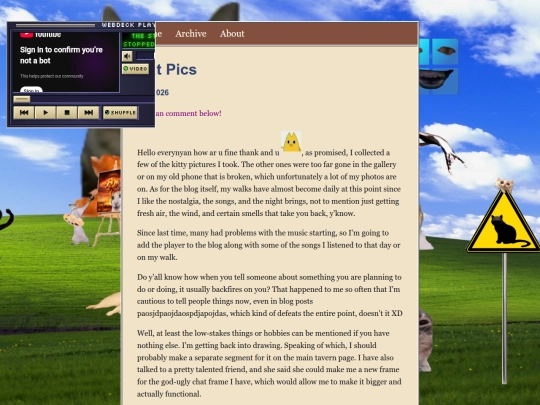 posts/2026-26-08-Cat-Pics screenshot