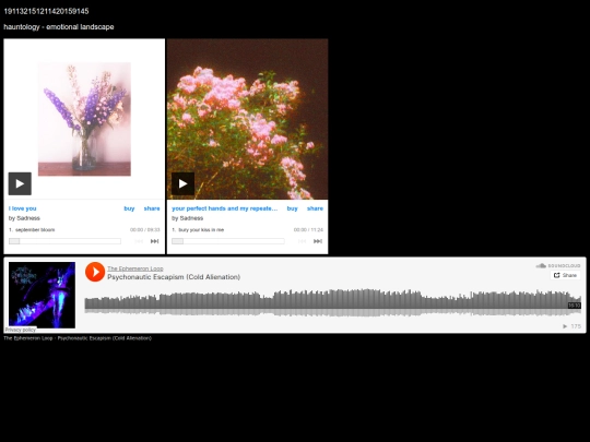 hauntologyemotionallandscape screenshot