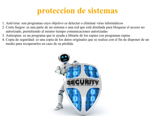 proteccion-de-sistemas screenshot