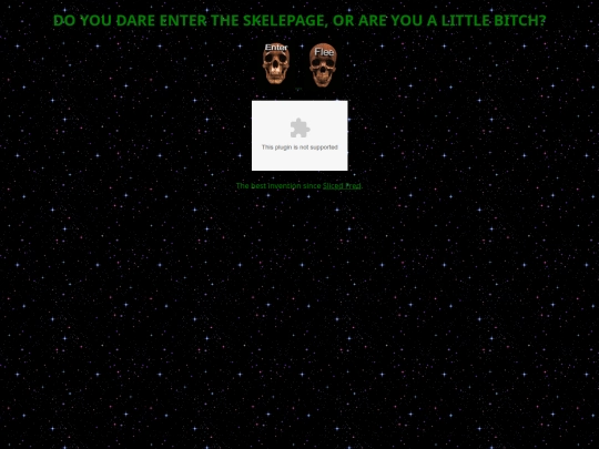 skelenter screenshot