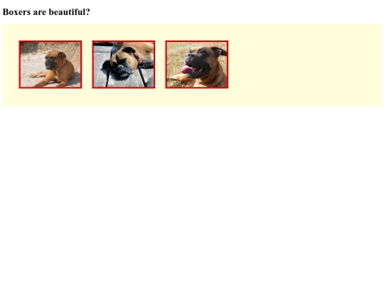 Desafioelmodeloboxer screenshot