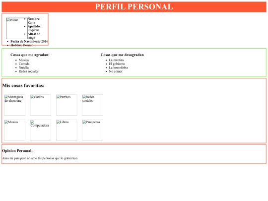 perfil screenshot