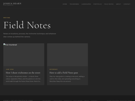 blog screenshot