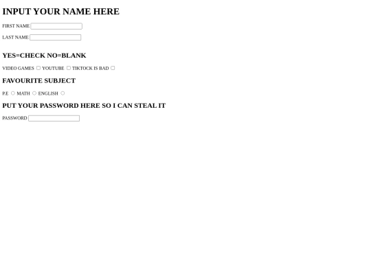 input stuff here website screenshot