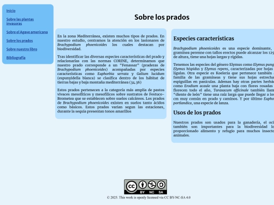 prados screenshot