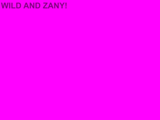 fun/wildandzany screenshot