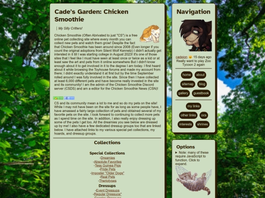 cs screenshot