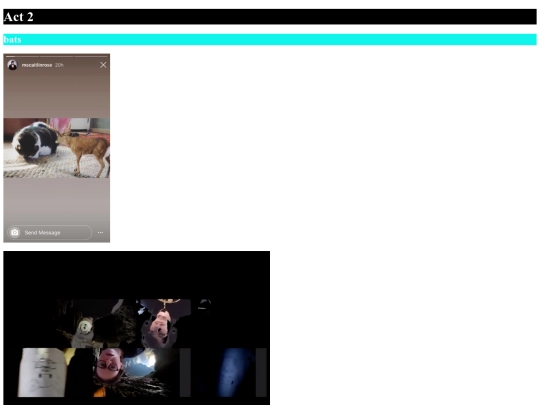 zoonosis/act2bats/act2bats screenshot