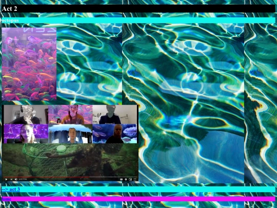zoonosis/act2octopus/act2octopus screenshot