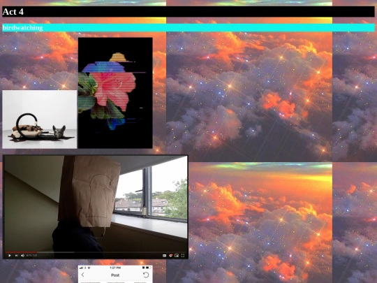 zoonosis/act4birdwatching/act4birdwatching screenshot