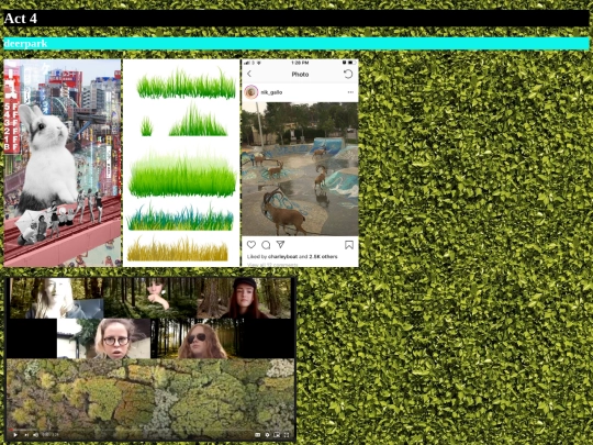 zoonosis/act4deerpark/act4deerpark screenshot