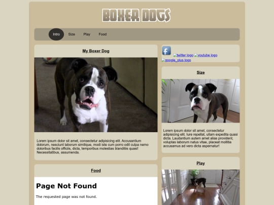 dogs test screenshot