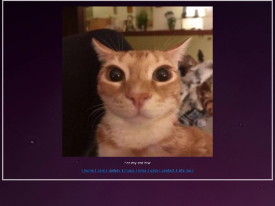 gato screenshot