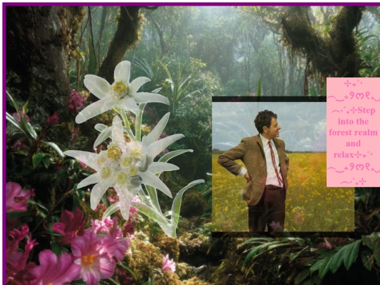 xxlwebsite screenshot