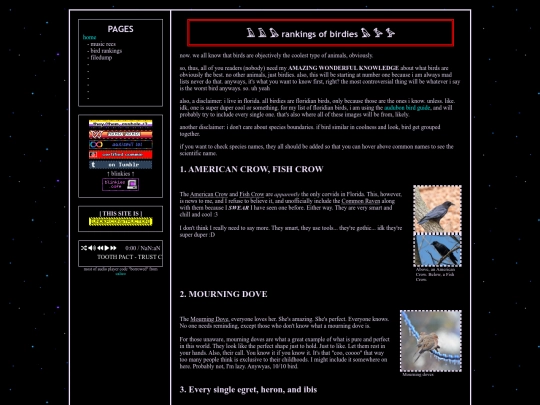 birdies screenshot