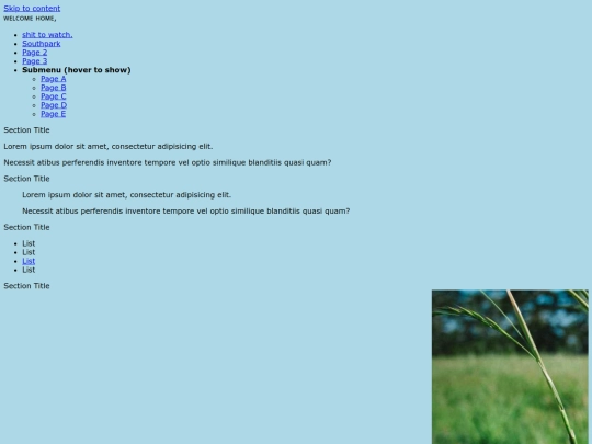 index screenshot