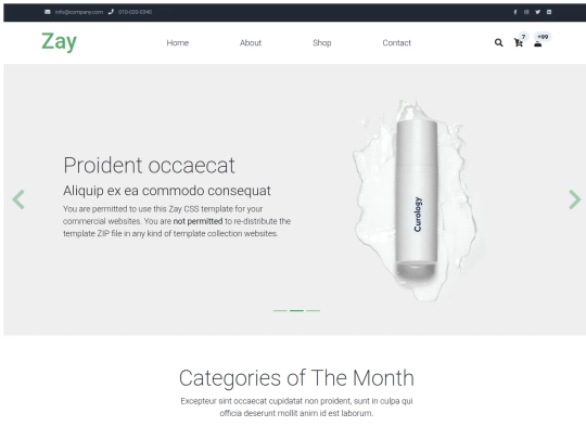 GenericSite1 screenshot
