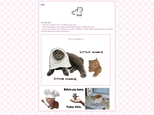 cats screenshot