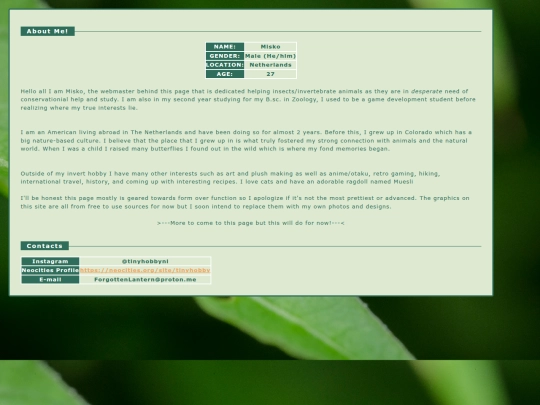about screenshot
