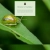Tiny Hobby avatar