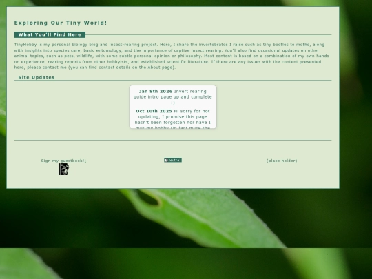 main screenshot