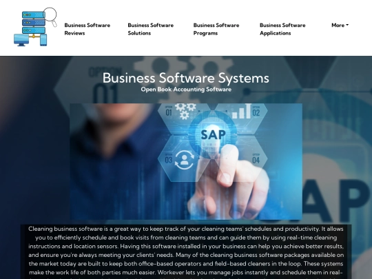 business-software-systems screenshot