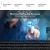Business Software Reviews avatar