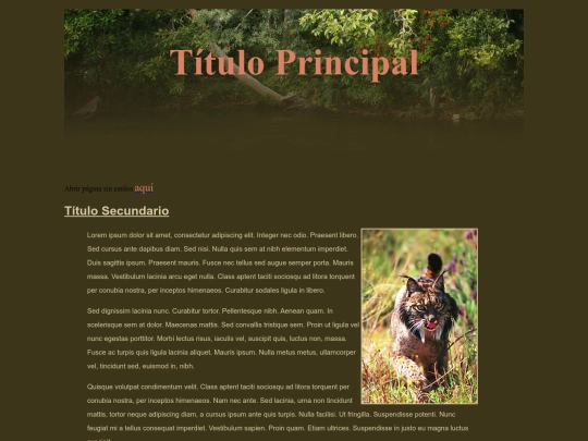ejercicio4B screenshot