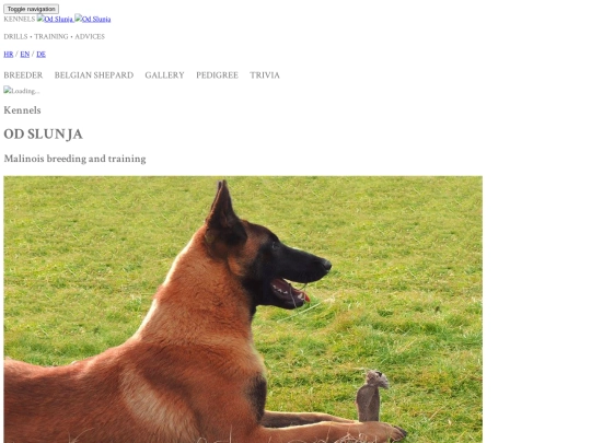 indexEN screenshot