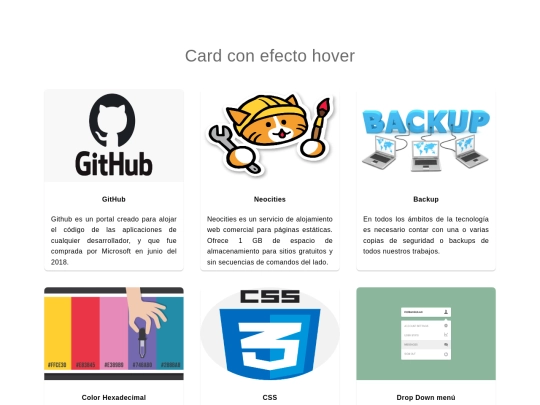 FlashCards screenshot