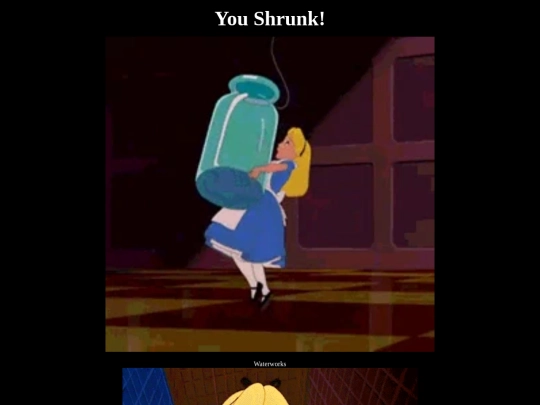 youshrunk screenshot