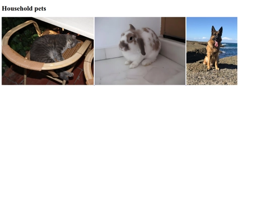 Gallery screenshot