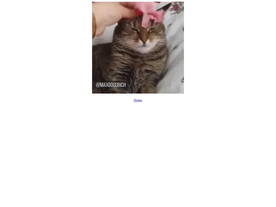 cat screenshot