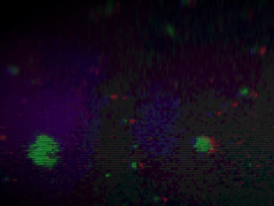 fr/frame1 screenshot