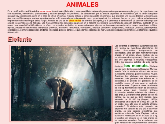 animales/estilo_prueba screenshot