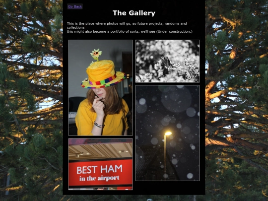 The_Gallery screenshot
