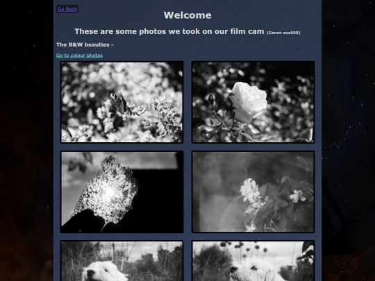The_Gallery/Film_photos screenshot