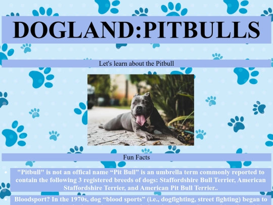 Midterm Project/DOGLAND3 screenshot
