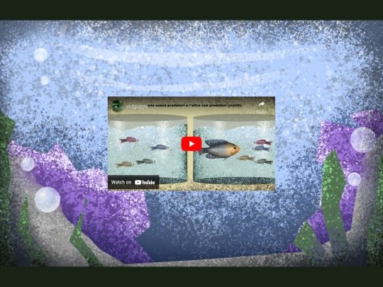 adaptingtochange screenshot