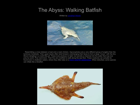 abyss-batfish screenshot