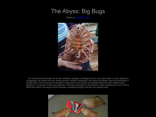 abyss-isopods screenshot